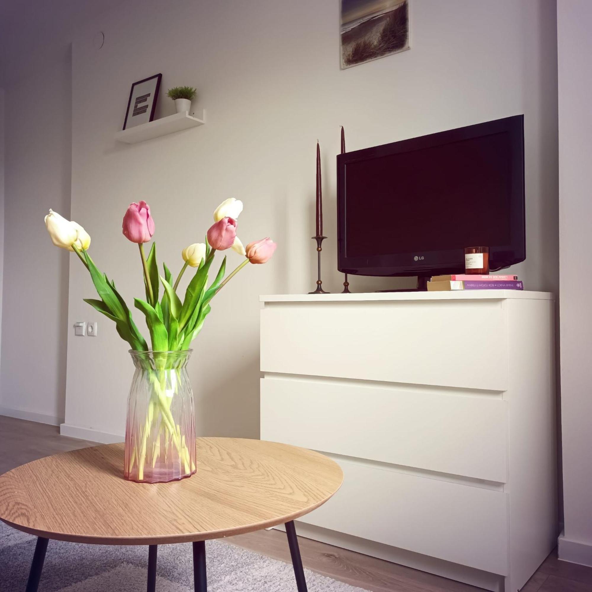 萨格勒布Bright And Modern Studio Near City Center公寓 外观 照片